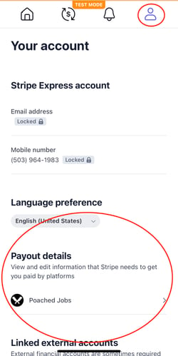 Stripe account payout